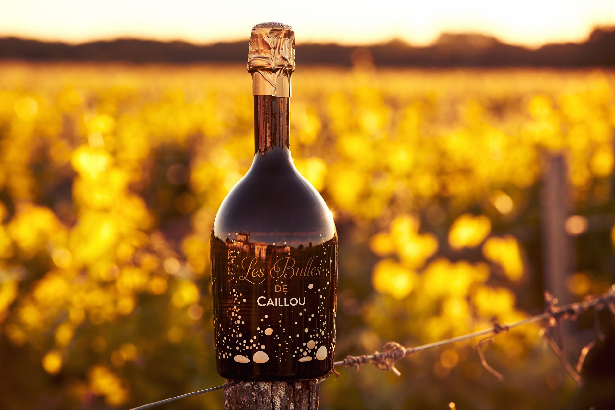 Bouteille de Bulles de Caillou - Crémant de Bordeaux - Bouteille sérigraphiée sur un piquet de vigne