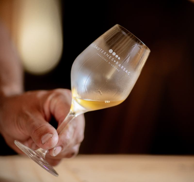 Dégustation de vin de Sauternes et vin de Bordeaux au Château Caillou. Dégustation de Grand Cru Classé.