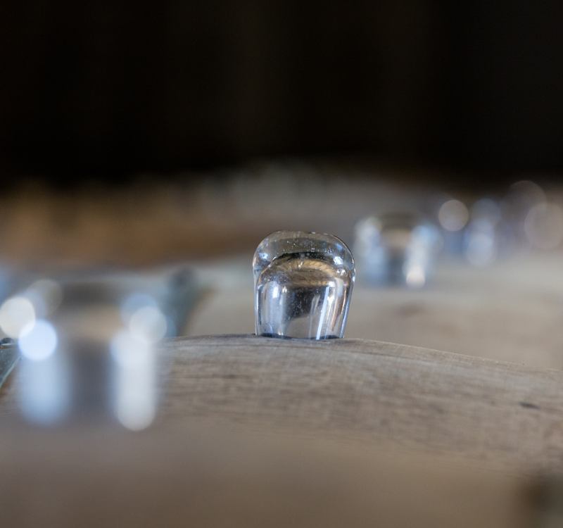 Visite chai à barriques au Château Caillou à Sauternes et Barsac