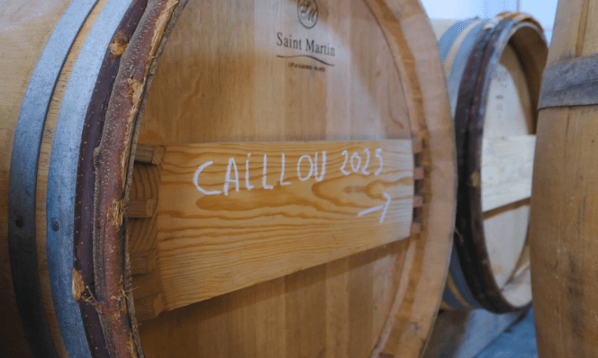Barrique de chêne français contenant du vin en primeurs du millésime 2023 du Château Caillou en Barsac Sauternes