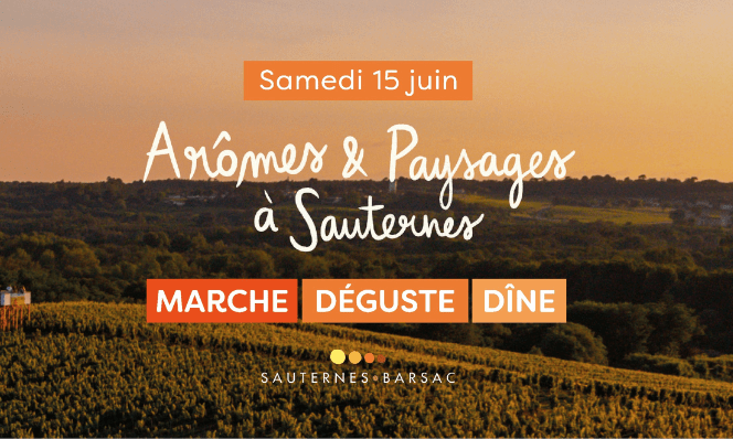 Evènement Arômes et Paysage à Sauternes - Marche, déguste, dîne
